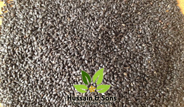 Basil Seeds Supplier