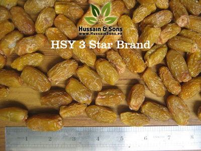 Dry Dates Exporter Pakistan