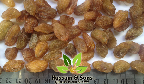 Abjosh Raisins Supplier